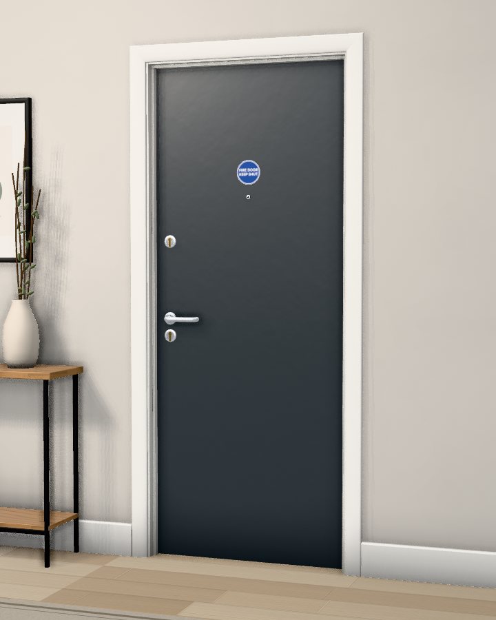 Meridian Flat Entrance FD30S Doorset